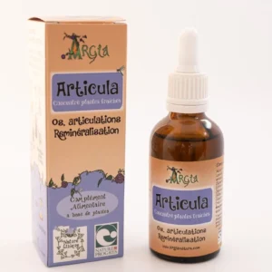 concentré articula argia
