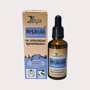 Articula_Concentré_Argia